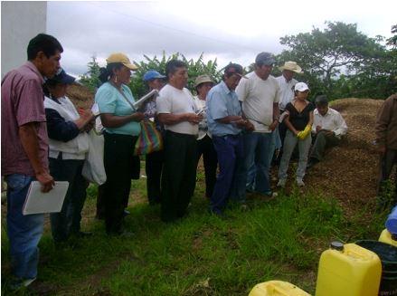 Dialogando con la huerta ancestral en Loja para el manejo de la humedad y fertilidad - Image 9