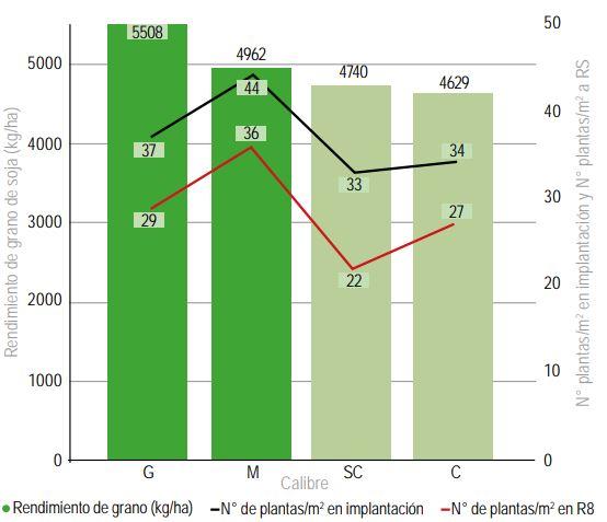 Cosecharás tu siembra. Aporte del vigor y la calibración de las semillas al rendimiento de grano - Image 6