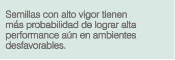 Cosecharás tu siembra. Aporte del vigor y la calibración de las semillas al rendimiento de grano - Image 10