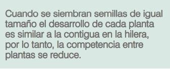 Cosecharás tu siembra. Aporte del vigor y la calibración de las semillas al rendimiento de grano - Image 5