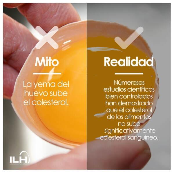 Día Mundial del Huevo - Image 6