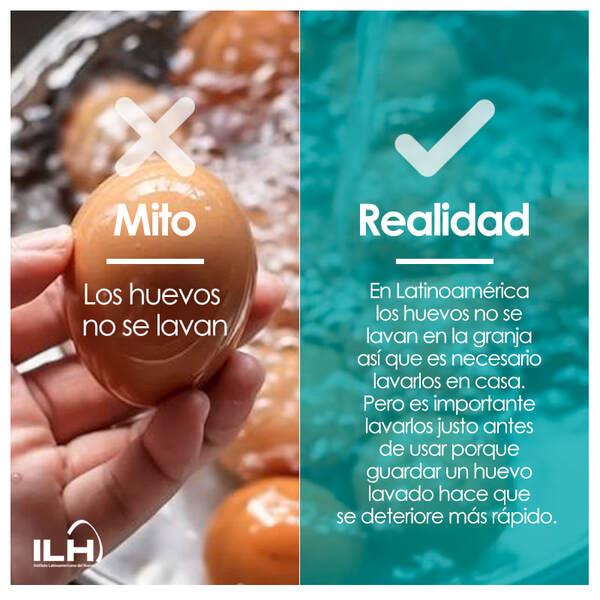 Día Mundial del Huevo - Image 8