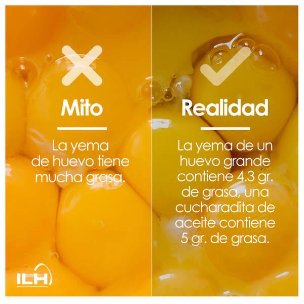 Día Mundial del Huevo - Image 10