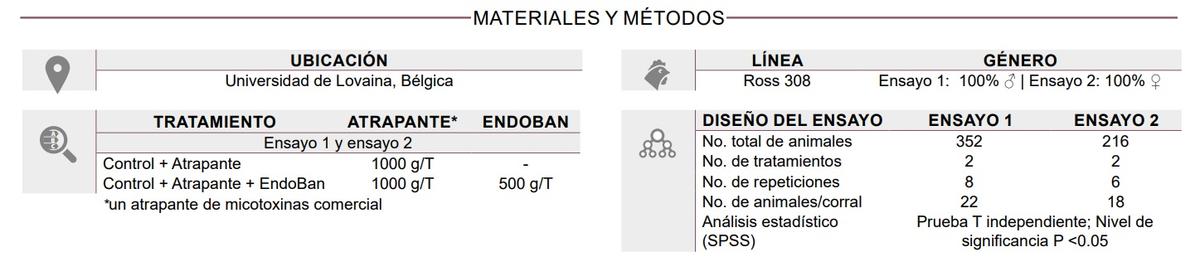 Efecto de un aditivo para combatir endotoxinas en el desempeño de pollos de engorde - Image 1