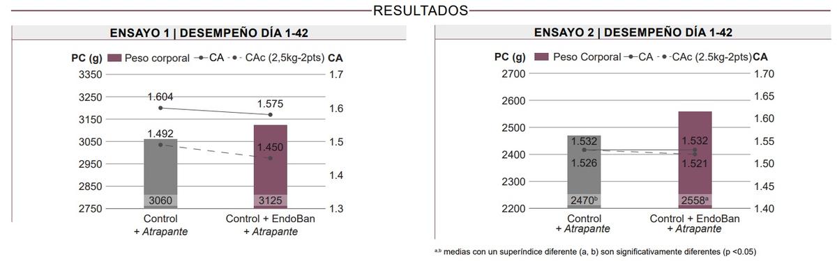 Efecto de un aditivo para combatir endotoxinas en el desempeño de pollos de engorde - Image 3