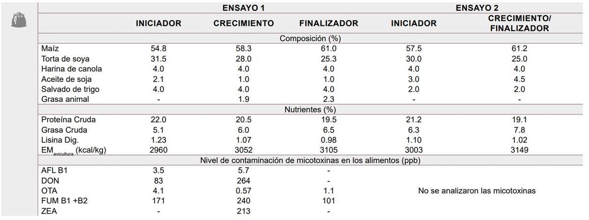 Efecto de un aditivo para combatir endotoxinas en el desempeño de pollos de engorde - Image 2