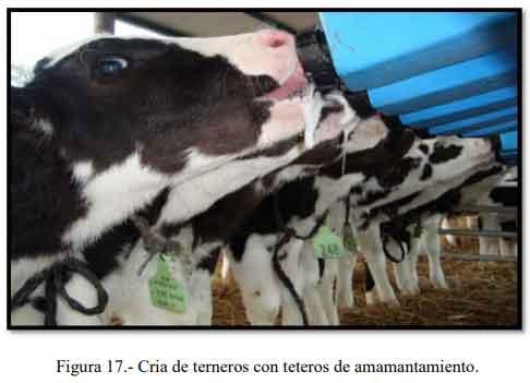 Tecnificación de fincas ganaderas con prácticas sostenibles “diseño de instalaciones para un sistema de manejo semiestabulado en fincas ganaderas de pequeños productores” - Image 16