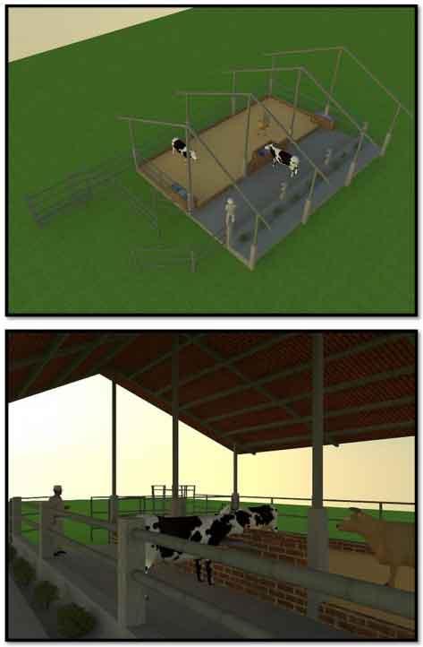 Tecnificación de fincas ganaderas con prácticas sostenibles “diseño de instalaciones para un sistema de manejo semiestabulado en fincas ganaderas de pequeños productores” - Image 27