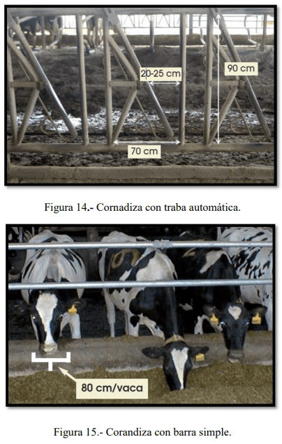 Tecnificación de fincas ganaderas con prácticas sostenibles “diseño de instalaciones para un sistema de manejo semiestabulado en fincas ganaderas de pequeños productores” - Image 14