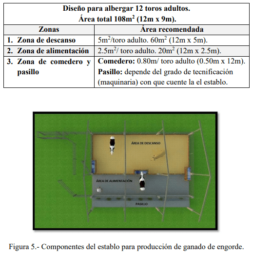 Tecnificación de fincas ganaderas con prácticas sostenibles “diseño de instalaciones para un sistema de manejo semiestabulado en fincas ganaderas de pequeños productores” - Image 5