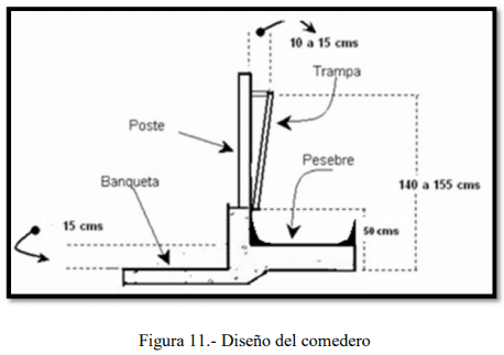 Tecnificación de fincas ganaderas con prácticas sostenibles “diseño de instalaciones para un sistema de manejo semiestabulado en fincas ganaderas de pequeños productores” - Image 11