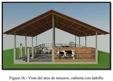 Tecnificación de fincas ganaderas con prácticas sostenibles “diseño de instalaciones para un sistema de manejo semiestabulado en fincas ganaderas de pequeños productores” - Image 15