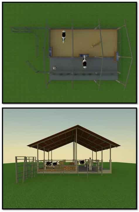 Tecnificación de fincas ganaderas con prácticas sostenibles “diseño de instalaciones para un sistema de manejo semiestabulado en fincas ganaderas de pequeños productores” - Image 28