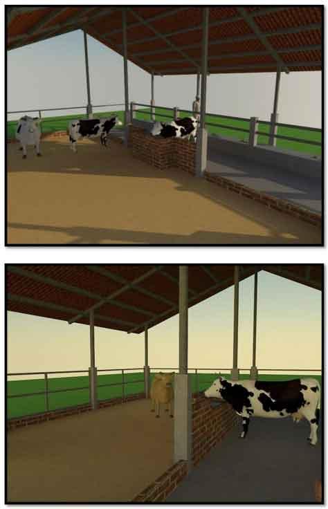 Tecnificación de fincas ganaderas con prácticas sostenibles “diseño de instalaciones para un sistema de manejo semiestabulado en fincas ganaderas de pequeños productores” - Image 30
