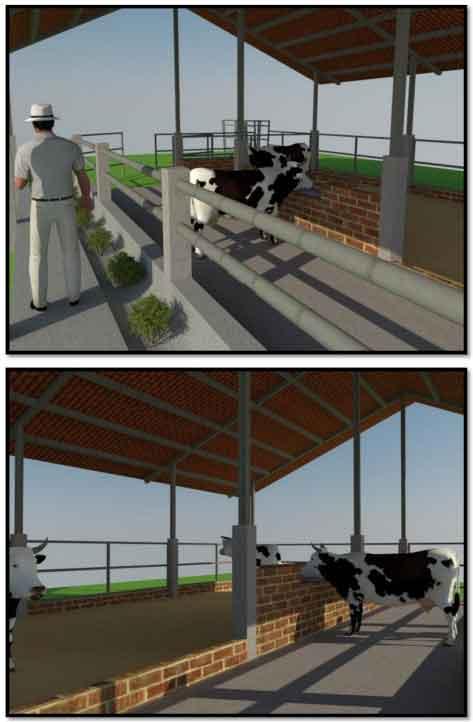 Tecnificación de fincas ganaderas con prácticas sostenibles “diseño de instalaciones para un sistema de manejo semiestabulado en fincas ganaderas de pequeños productores” - Image 26