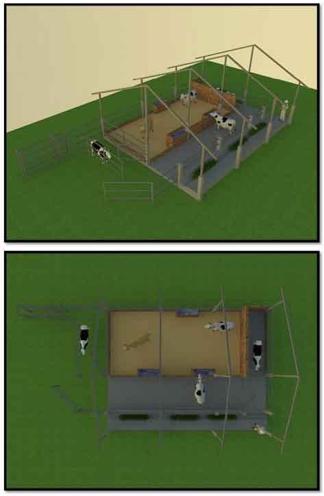 Tecnificación de fincas ganaderas con prácticas sostenibles “diseño de instalaciones para un sistema de manejo semiestabulado en fincas ganaderas de pequeños productores” - Image 24