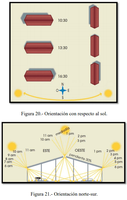 Tecnificación de fincas ganaderas con prácticas sostenibles “diseño de instalaciones para un sistema de manejo semiestabulado en fincas ganaderas de pequeños productores” - Image 18