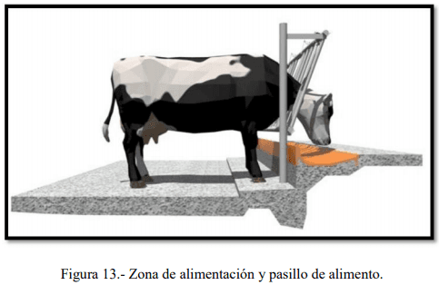 Tecnificación de fincas ganaderas con prácticas sostenibles “diseño de instalaciones para un sistema de manejo semiestabulado en fincas ganaderas de pequeños productores” - Image 13