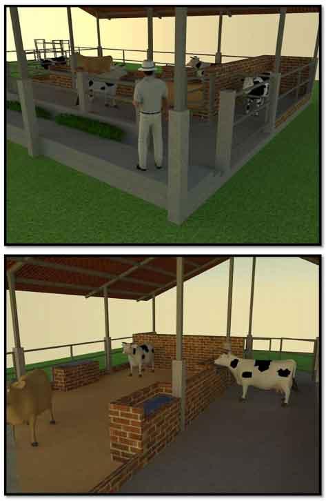 Tecnificación de fincas ganaderas con prácticas sostenibles “diseño de instalaciones para un sistema de manejo semiestabulado en fincas ganaderas de pequeños productores” - Image 25