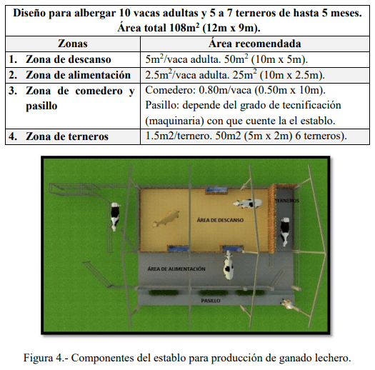 Tecnificación de fincas ganaderas con prácticas sostenibles “diseño de instalaciones para un sistema de manejo semiestabulado en fincas ganaderas de pequeños productores” - Image 4