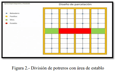 Tecnificación de fincas ganaderas con prácticas sostenibles “diseño de instalaciones para un sistema de manejo semiestabulado en fincas ganaderas de pequeños productores” - Image 2