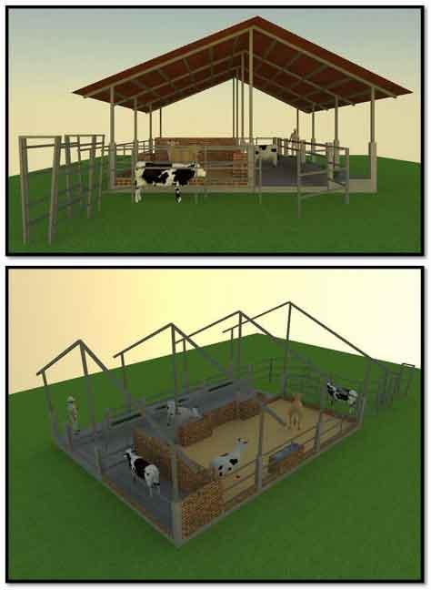 Tecnificación de fincas ganaderas con prácticas sostenibles “diseño de instalaciones para un sistema de manejo semiestabulado en fincas ganaderas de pequeños productores” - Image 23