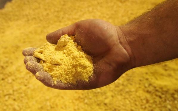 Funcionalidad de las proteínas: ¿Qué significa?, ¿Qué importancia tiene? - Image 1