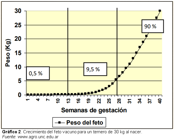 ¿Es conveniente que las vaquillonas paran gordas? - Image 2