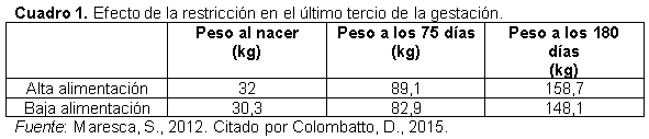 ¿Es conveniente que las vaquillonas paran gordas? - Image 3