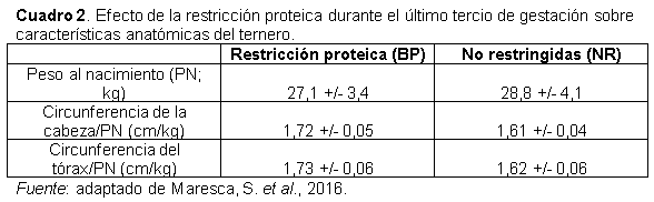 ¿Es conveniente que las vaquillonas paran gordas? - Image 4