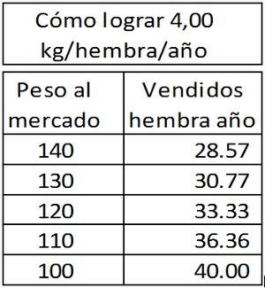 ¿Por qué no alcanzamos los 3,000 kgs de carne vendidos por cerda año? - Image 4
