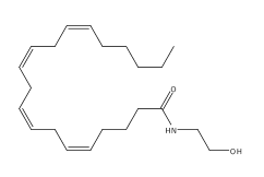 El sistema endocanabinoide y su implicación - Image 1