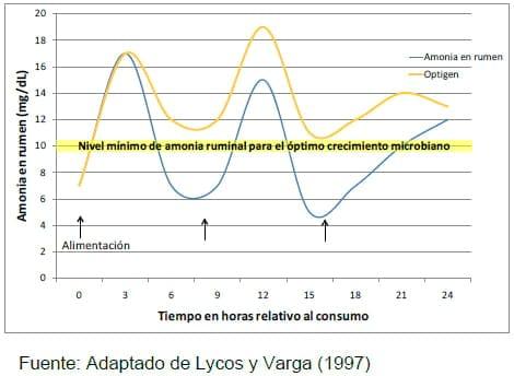 Nitrógeno no Proteico de liberación controlada (Optigen) y su importancia en la sincronización de nutrientes para una mayor producción de leche - Image 2