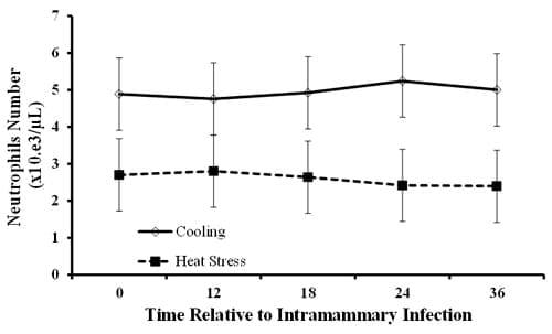 Estrategias para mejorar las respuestas termoreguladoras y reproductivas/ productivas bajo periodos estacionales de estrés por calor - Image 40