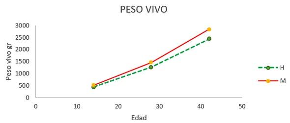Estudio del bienestar animal mediante el analisis de pododermatitis en pollos de carne tipo broiler en Cantón Patate - Ecuador - Image 10