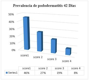 Estudio del bienestar animal mediante el analisis de pododermatitis en pollos de carne tipo broiler en Cantón Patate - Ecuador - Image 15