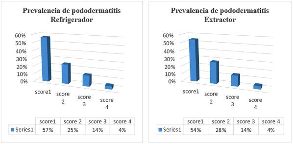 Estudio del bienestar animal mediante el analisis de pododermatitis en pollos de carne tipo broiler en Cantón Patate - Ecuador - Image 17