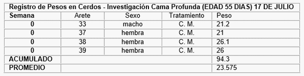 Evaluación de pesos en cerdos criados en cama profunda. Proyecto porcino del ITS Benjamín Araujo - Ecuador - Image 1