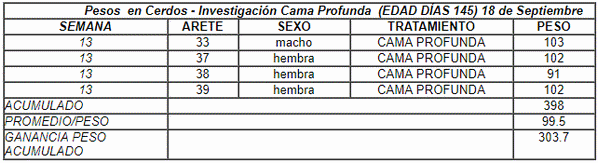 Evaluación de pesos en cerdos criados en cama profunda. Proyecto porcino del ITS Benjamín Araujo - Ecuador - Image 2