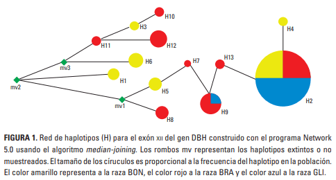 Diversidad haplotípica del Exón XII del gen dopamina ß-HIDROXILASA en tres razas bovinas - Image 1