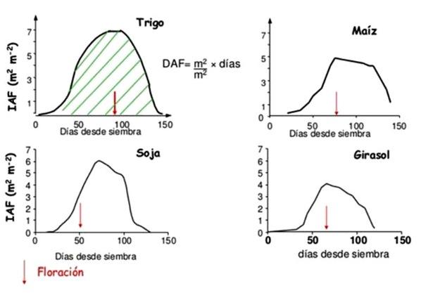 En busca del límite fisico de los bajos volúmenes de aplicación (y el de los fundamentalistas del tema) - Image 10