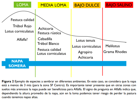 Mezclas forrajeras: ¿Qué hacemos donde no hacemos alfalfa? - Image 2