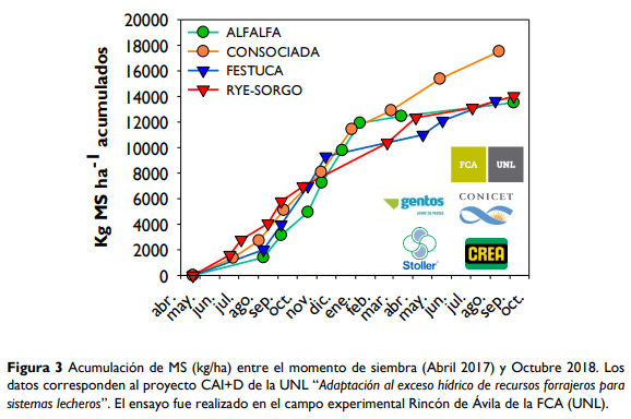 Mezclas forrajeras: ¿Qué hacemos donde no hacemos alfalfa? - Image 3