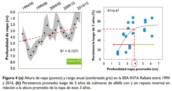 Brechas productivas en Alfalfa ¿Qué necesitamos para alcanzar el potencial? - Image 4