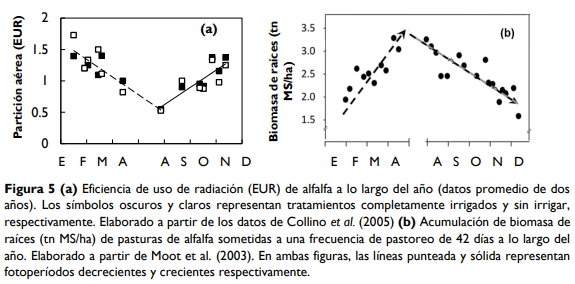 Brechas productivas en Alfalfa ¿Qué necesitamos para alcanzar el potencial? - Image 6