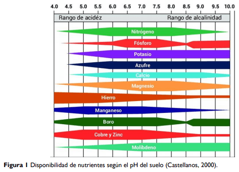 Brechas productivas en Alfalfa ¿Qué necesitamos para alcanzar el potencial? - Image 1