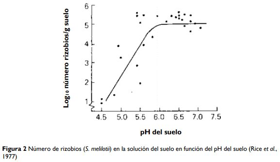 Brechas productivas en Alfalfa ¿Qué necesitamos para alcanzar el potencial? - Image 2