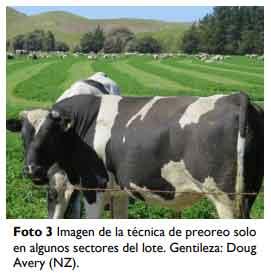 Brechas productivas en Alfalfa ¿Qué necesitamos para alcanzar el potencial? - Image 8
