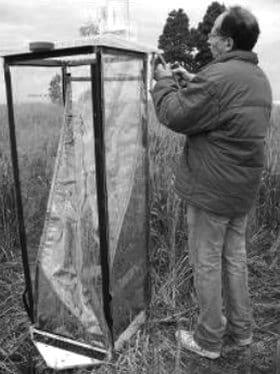 Efecto del cultivo de trigo sobre el ingreso de agua al suelo bajo siembra directa - Image 1