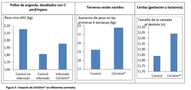 CitriStim, un ingrediente novedoso levadura Pichia guilliermondii - Image 3